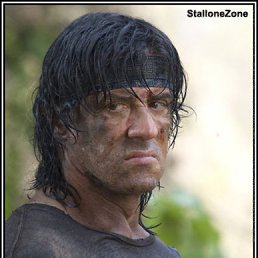 ���� ����, ������, 37 ��� - ��������� 24 ������� 2011