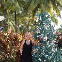 ���� �����, ���� - ��������� 9 ������ 2013 � ������ �߻