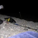  , , 39  -  11  2011   2010        !