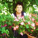 �����-2012-����������� �������� �� ������� ���� ����������