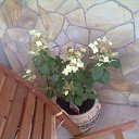 ���� ���������, ����, 65 ��� - ��������� 28 ���� 2012 � ������ �����