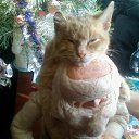 ���� Yrii, �������, 52 ���� - ��������� 17 ������ 2010 � ������ ������