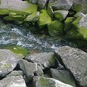 ���� Rolanas, �������, 54 ���� - ��������� 7 ���� 2013 � ������ ���� ����������