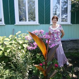 �����, ������, 68 ���