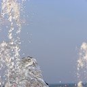 ���� �����, ����, 38 ��� - ��������� 6 ������ 2010 � ������ ���� ������� ����������