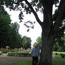 ���� �����, ������, 62 ���� - ��������� 18 ������� 2009 � ������ ���� ����������