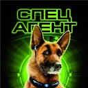 ���� "@����", �����-���������, 25 ��� - ��������� 26 ������� 2010 � ������ �Catc &amp; Docs�