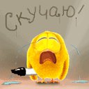 ���� ��������, ������, 41 ��� - ��������� 22 ���� 2012 � ������ �������