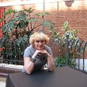 ���� ����, ������ - ��������� 20 ���� 2013 � ������ ���� ����������