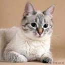 ���� �������, ������ - ��������� 15 ������ 2012 � ������ ��������