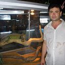 odessa �� ������� ���� ����������