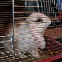 ���� ����, ��������� - ��������� 9 ������ 2011 � ������ ���� ������ ������!�