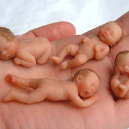 ���� �������, ������������ - ��������� 12 ������� 2010