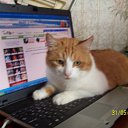 ���� �����, ������, 53 ���� - ��������� 8 ���� 2010 � ������ ���� ���.�