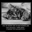 ���� ���������, ��������, 51 ��� - ��������� 3 ������ 2013 � ������ ���� ����������