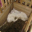 ����� �������� ��� �����... �� ������� ����� 2010�