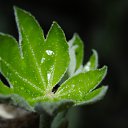 ���� ������, ������, 54 ���� - ��������� 18 ���� 2011 � ������ �������� �������