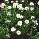 ���� V�������, ��������� - ��������� 21 ������ 2011 � ������ ���������.�