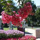 ���� ����, ������, 38 ��� - ��������� 28 ���� 2010 � ������ �������