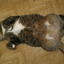 ���� ����, �����, 62 ���� - ��������� 16 �������� 2011 � ������ ���� �������ۻ