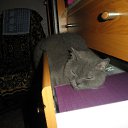 ���� �������, ��������, 45 ��� - ��������� 19 ������� 2010 � ������ ���� ������� �������