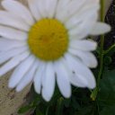 ���� ������, ������, 59 ��� - ��������� 21 ������� 2012 � ������ ���� ����