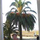 ���� �����, ������ ��������, 62 ���� - ��������� 22 ������� 2012 � ������ ���� ����������