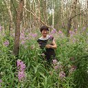 � ��������� ���� �� ������� ���� ����������