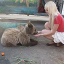 ���� �����, ��������� - ��������� 18 ������� 2011 � ������ ������