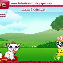  , , 34  -  14  2010   PetLove