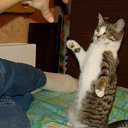 ���� ����, ������, 53 ���� - ��������� 2 ������ 2011