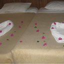 ���� �������, ���� - ��������� 31 ������� 2010 � ������ �������,����������� 2010�