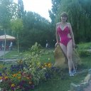 ���� �����, �������, 66 ��� - ��������� 30 ���� 2012 � ������ ���� ����������