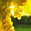 ���� ����, ������, 43 ���� - ��������� 13 ����� 2012 � ������ ���� ����������