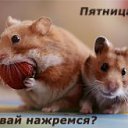 ���� ����, ������ ��������, 30 ��� - ��������� 8 ��� 2012 � ������ �������