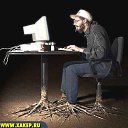 ���� �����, ����������, 43 ���� - ��������� 7 ������� 2011 � ������ ���� ����������