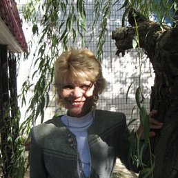 �������, ������, 66 ���