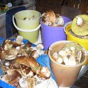 ���� ������, �������, 55 ��� - ��������� 17 ������� 2009