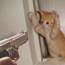 ���� ���������, �����, 52 ���� - ��������� 23 ������� 2012 � ������ ���� ����������