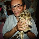 ���� �������, ���������, 56 ��� - ��������� 2 ������� 2013 � ������ ������ ��������