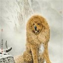 ���� Amindomano, ����� - ��������� 10 ������� 2010 � ������ ������