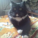   ~~, , 35  -  4  2009   