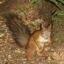 ���� Natali, �������, 49 ��� - ��������� 3 ��� 2012 � ������ ���� ����������