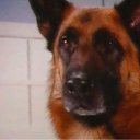 ���� "@����", �����-���������, 25 ��� - ��������� 26 ������� 2010 � ������ �Catc &amp; Docs�