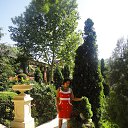 ���� �����, ���������, 64 ���� - ��������� 20 ���� 2013 � ������ ����������