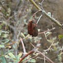 ���� ������, ������, 42 ���� - ��������� 17 ���� 2011 � ������ �������