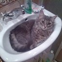 ���� �����, �����-���������, 28 ��� - ��������� 7 ����� 2011 � ������ �������