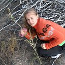 ���� �����, ������, 36 ��� - ��������� 13 ������ 2013 � ������ �2012-2013�