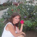 ���� �����, ������������ - ��������� 14 ������� 2012 � ������ ���� ����������