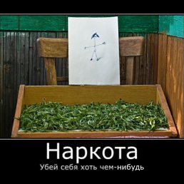 ���� ����, ����, 42 ���� - ��������� 13 ������� 2010